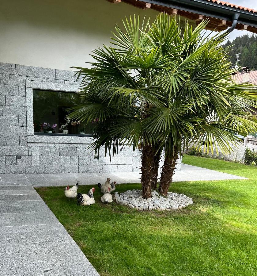 B&B Casa Il Sasso Pinzolo Zewnętrze zdjęcie